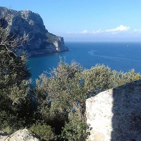 Appartamento Vittoria Pietra Ligure Exterior foto
